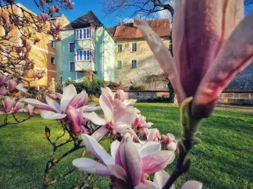 Englischer Garten in Amberg