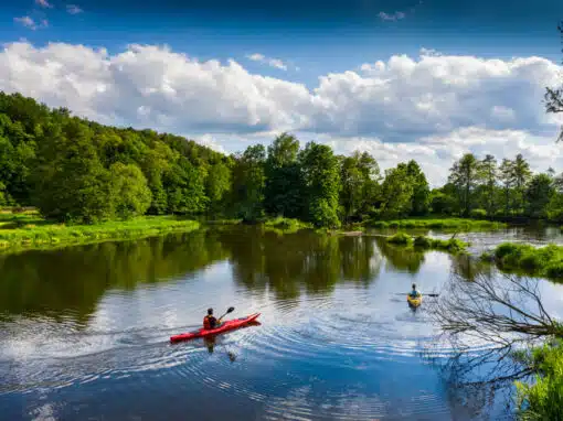 Kayak auf der Naab