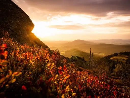 Herbstfarben auf dem Osser