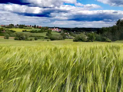 Jurasteig im Landkreis Neumarkt