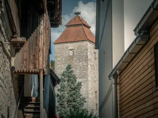 Wehrmauer in Berching