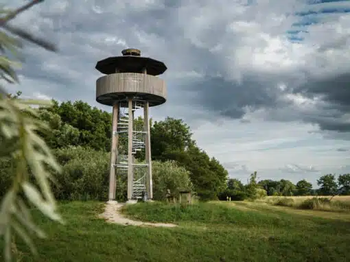 Vogelbeobachtungsturm in Freystadt