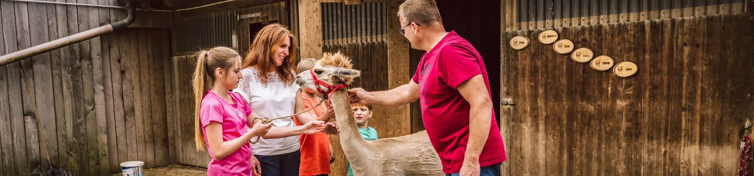 Familie mit Alpaka